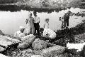 Kalvikarna 1939 