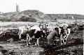 Sjögrannas strand på 1940-talet