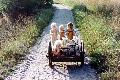 Emil, Dani och Mila skuffar Jonas i kärran 1982 