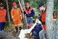 Älgjakten 1985